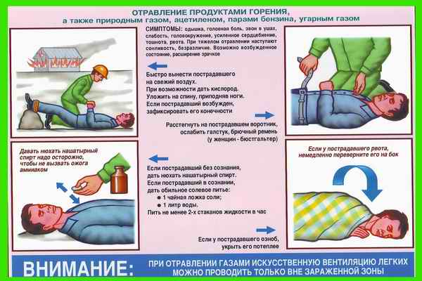 чем гнать глистов у человека чем гнать глистов у человека
